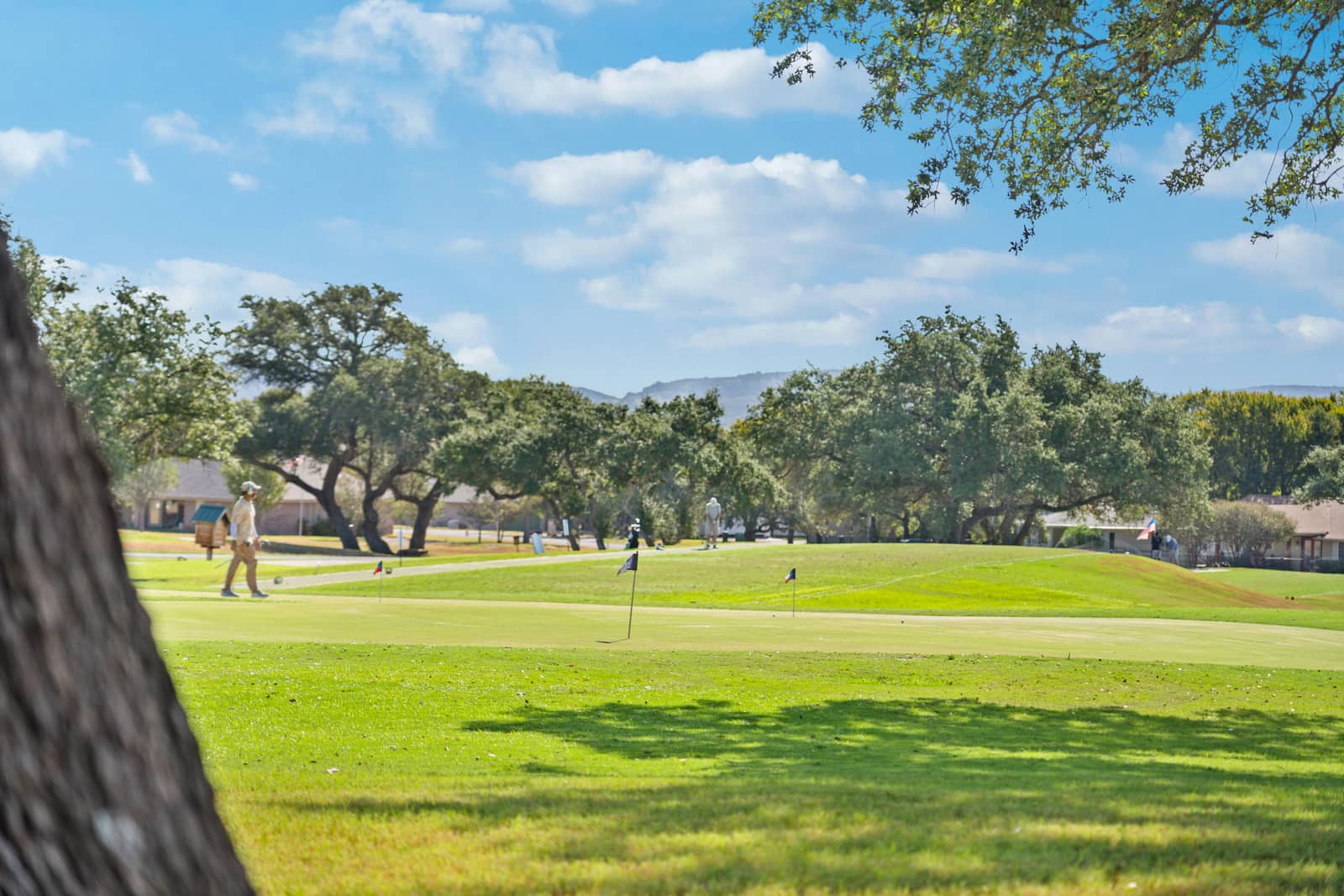 Golfers on the practice green beneath oak trees at Delaware Springs